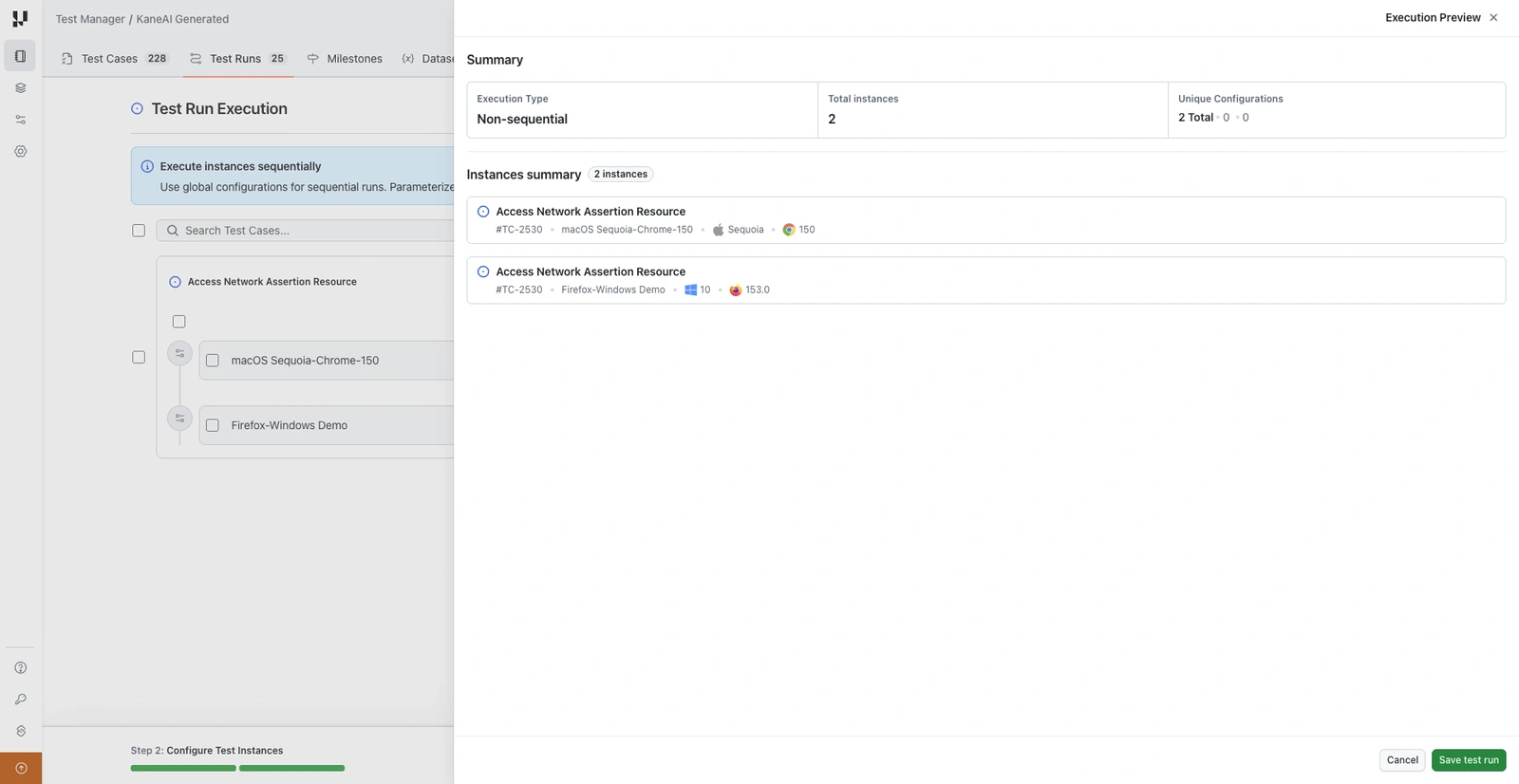 Execution Preview panel showing execution type, total instances, and the instances summary