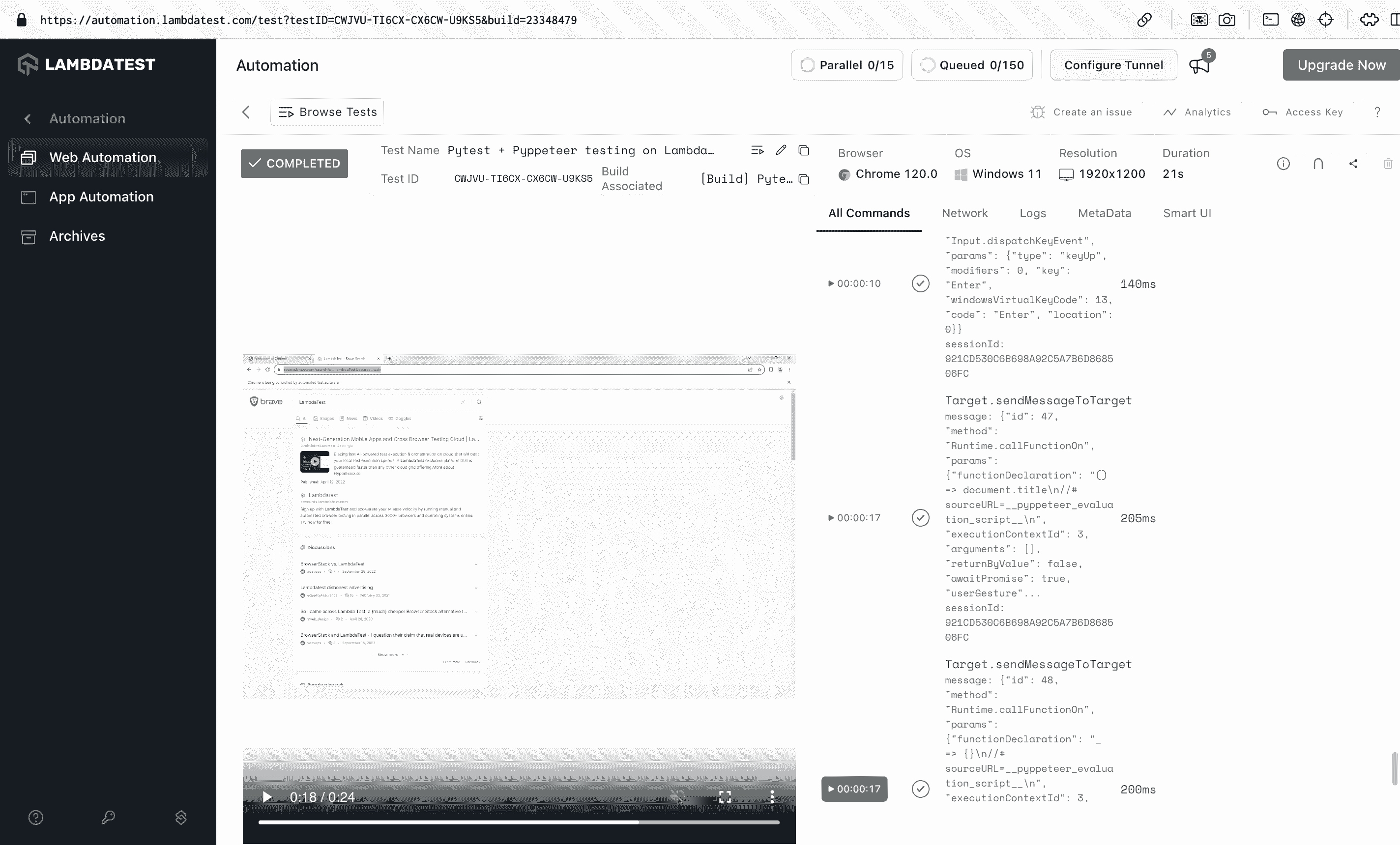 Pyppeteer <BrandName /> Test View