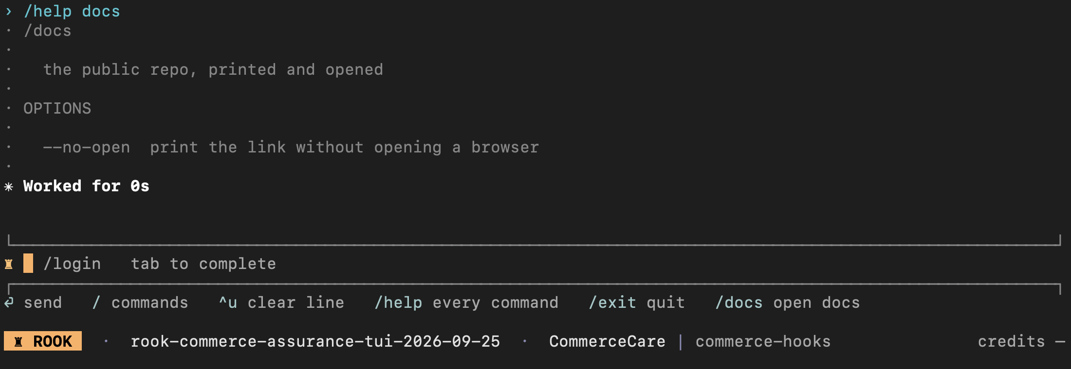 Rook docs command help showing the no-open option