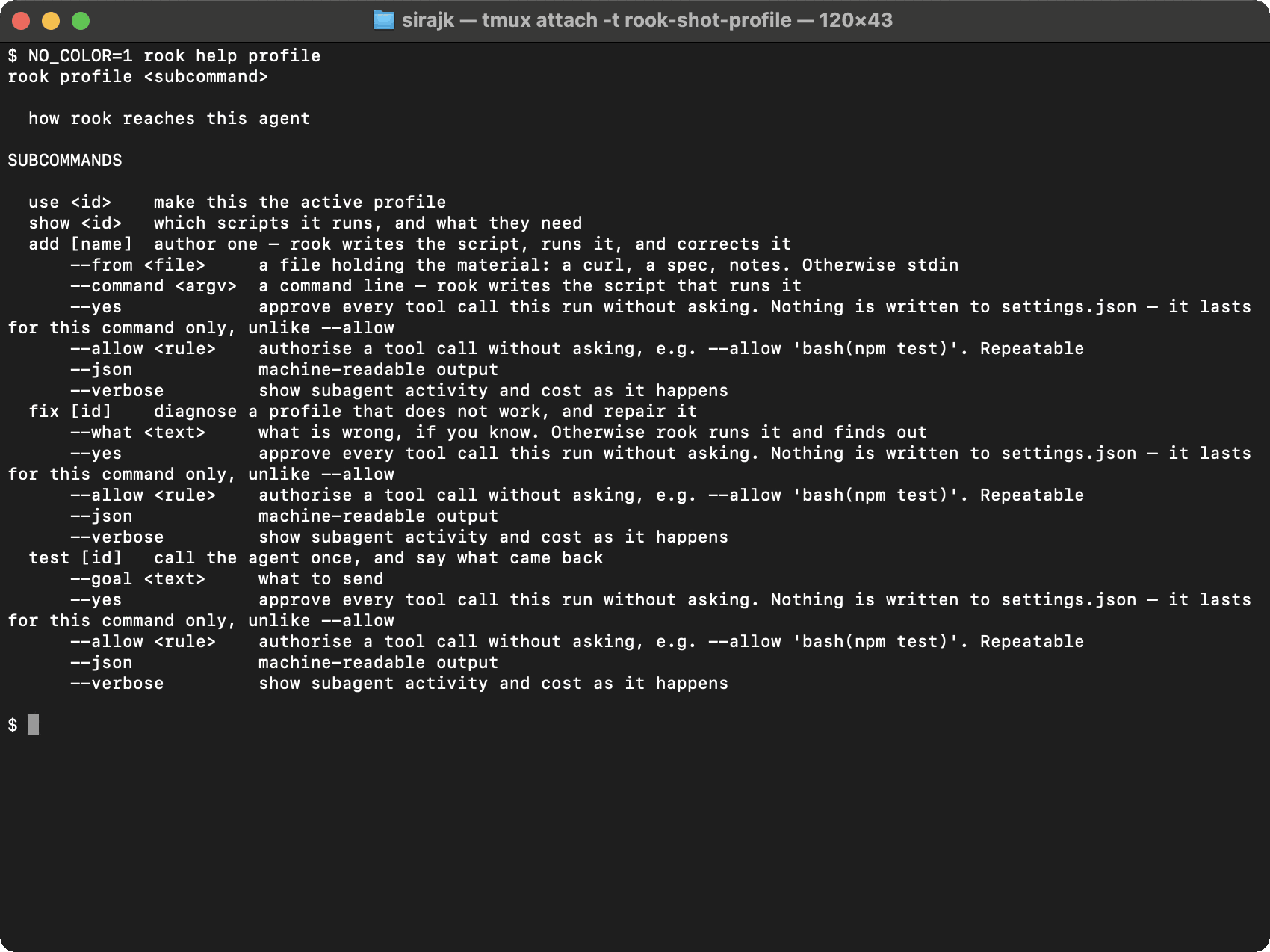 Current Rook profile command help showing use, show, prompt-based add, fix, and test