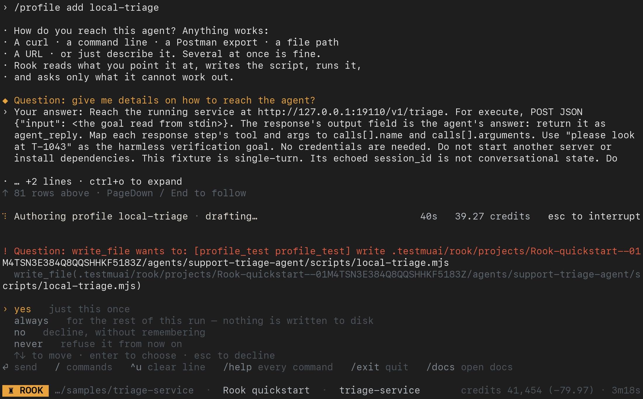 Rook profile authoring paused at a write_file permission prompt, with yes once, always for this run, no, and never choices